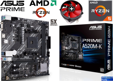 AMD Ryzen 5 5500 - AMD Kühler - ASUS Prime A520M-K